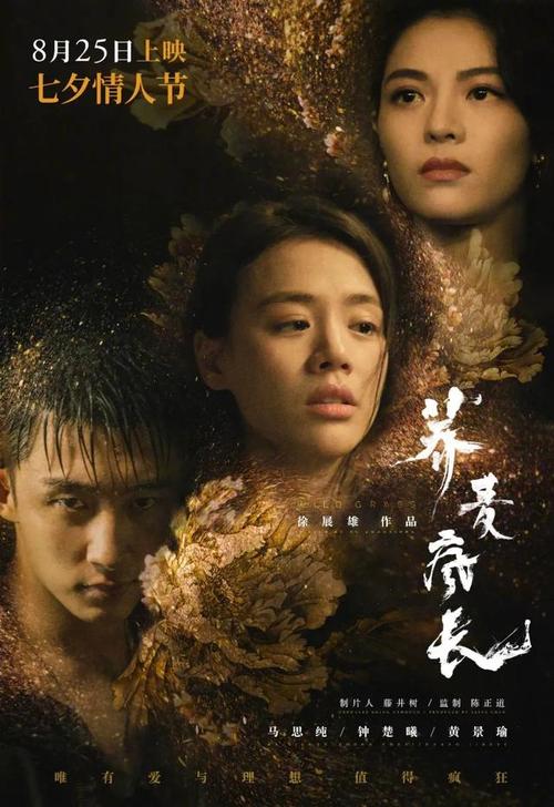 东南圣经学院公共管理文凭证书